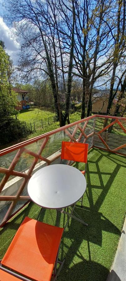 Le Petit Park-Studio-Terrasse- Piscine-Wifi Fibre Apartamento Pau Exterior foto